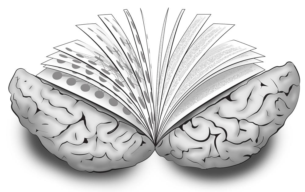 мозг и книга